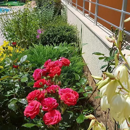 Sundance Village аpartments * Sunny Beach